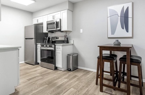 Dunedin Apartment | Landing | Spectacular 1BD, Gym