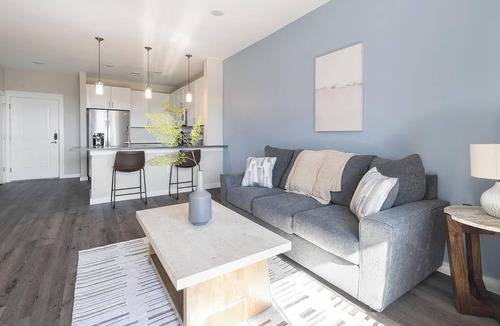 Salado Apartment | Landing | Spectacular 1BD, Clubhouse, Gym