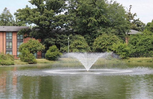 Greenbelt Apartment | Landing | Stunning 2BD, Gym, Pool