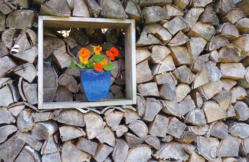 Hov House | Langeland Holiday House