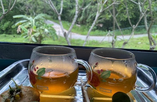 Air Hangat House | Langkawi Natural Villa