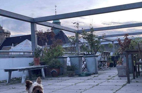 Copenhagen City Centre Condo | Large bright apartment in the city center