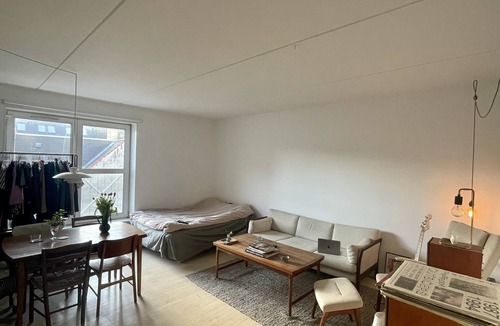 Copenhagen City Centre Condo | Large bright apartment in the city center
