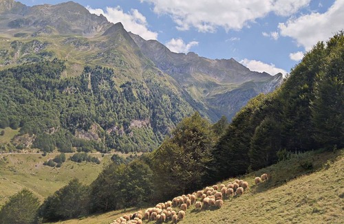 Laruns House | large capacity village house