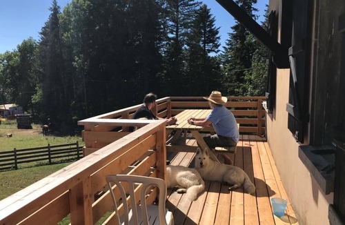 Damprichard Ski Chalet | Large, characterful family chalet in the heart of nature.