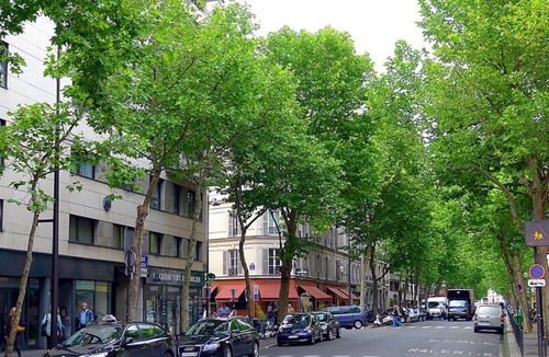 Quartier Sainte-Marguerite Apartment | Large charming flat between Bastille and Marais