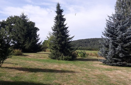 Sainte-Magnance House | Large charming house