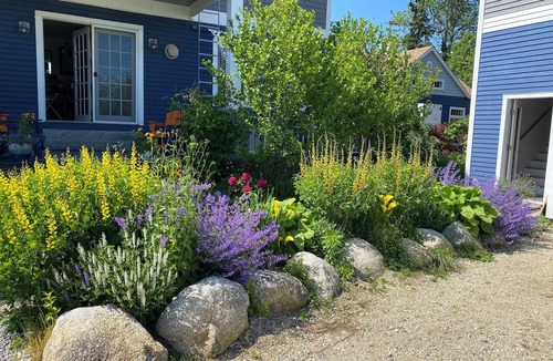 Castine Cottage | Large Cottage w Ocean Views.