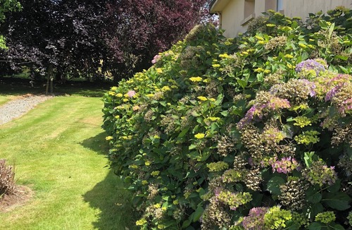 Meneac House | LARGE COUNTRY HOUSE