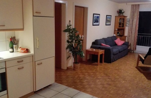 Leysin Apartment | Large family apartment - breathtaking view, Ski-in