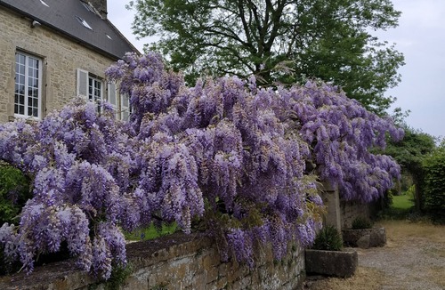 Valognes House | Large family home in Valognes