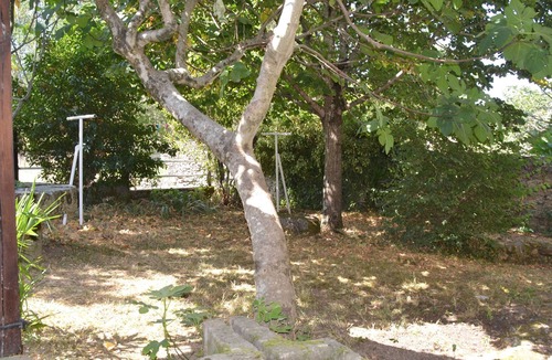 Escoussens House | LARGE FAMILY HOUSE IN THE HEART OF NATURE