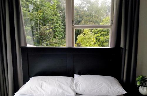 Auckland House | Large Family House