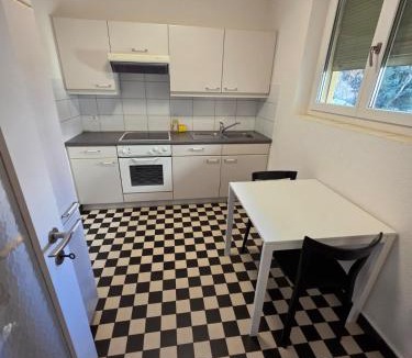 Alt-Wiedikon Apartment | Large Flats, Zurich City Center - SCHB