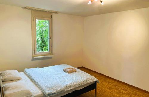 District 2 Apartment | Large Flats, Zurich Lake HWAB - Self Checkin