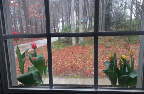 Sharpsburg House | Large garden appt, private access, modern kitchen, laundry, King bed, 4min shops