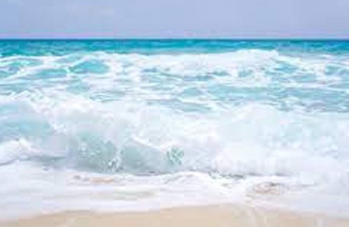 Cohassett Beach RV Rental | LARGE GROUP CAMP