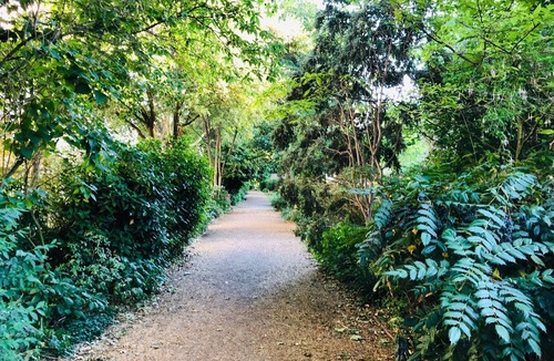 Pimlico Apartment | Large Group Friendly South Belgravia 4BR Apt