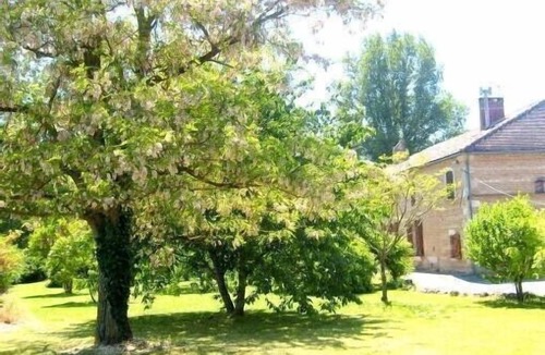 Sainte-Livrade-sur-Lot House | Large Gruelles group gîte