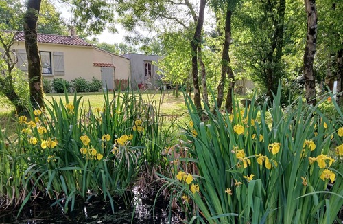 Saint-Vincent-sur-Graon House | Large house, heated pool, pool house, close to beaches.
