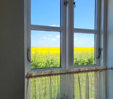 Trans House | Large Holiday Home Near Bovbjerg Lighthouse