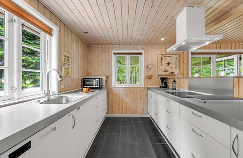 Skjern House | Large holiday home with large outdoor wilderness bath and activity room, only.