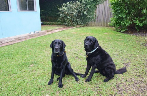 Currarong House | Large Home Near the Beach in Bush Setting