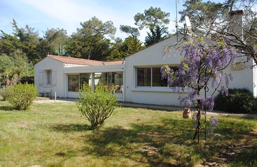 Saint-Hilaire-de-Riez House | Large house surrounded by pine trees