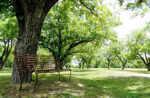 Comfort House | Large House in the Texas Hill Country