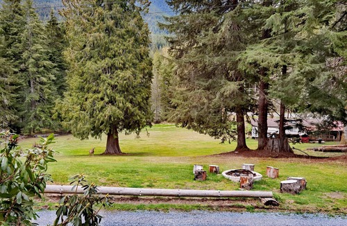 Ashford Cabin | Large Lodge Near Nisqually Entrance, Sleeps 18