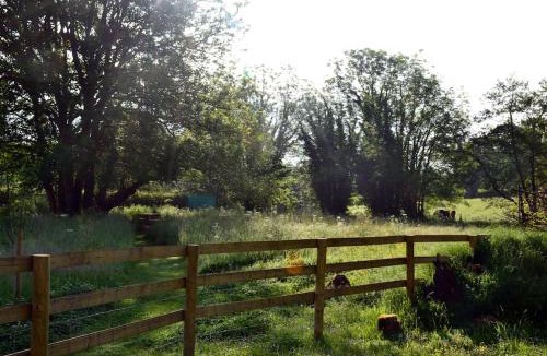 Belluton Ski Chalet | Large Luxury Shepherds Hut with Hot Tub nr Bath