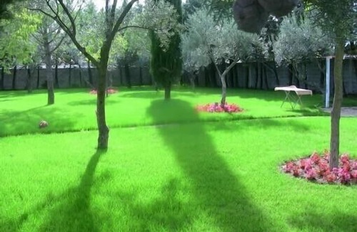 Saint-Jean-de-Vedas Villa | Large residence with private swimming pool 10X5, with wooded grounds