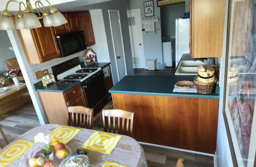 Elk Grove Village House | Large room with balcony in private home in Elk Grove