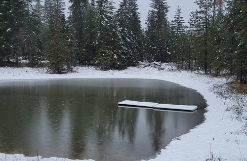 Harvard RV Rental | Large RV site with full hookups, surrounded by trees and nature.