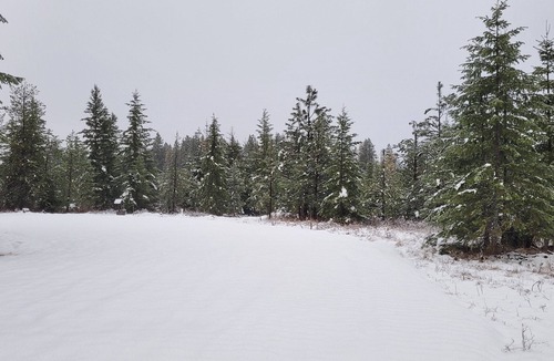 Harvard RV Rental | Large RV site with full hookups, surrounded by trees and nature.