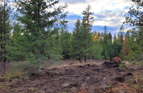 Harvard RV Rental | Large RV site with full hookups, surrounded by trees and nature.