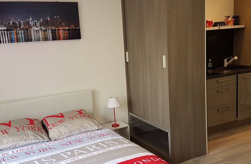 Voltaire - Saint Amour Apartment | LARGE STUDIO WITH BALCONY