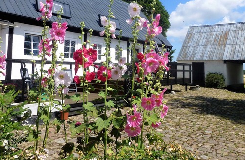Ronne House | Large summerhouse on Danish Island Bornholm
