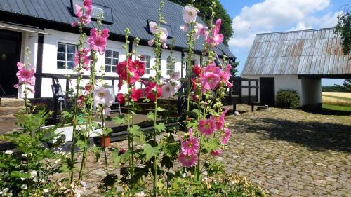 Ronne House | Large Summerhouse On Danish Island Bornholm