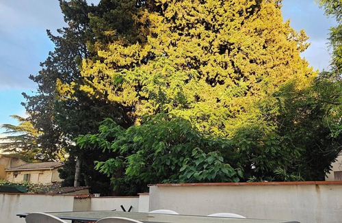 Saint-Eloi Apartment | Large T5 near town center with terrace and private pool