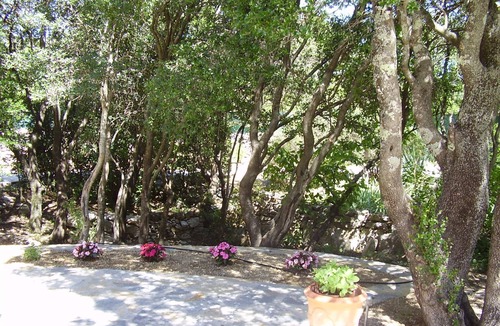 Viols-le-Fort House | Large villa in a haven of peace