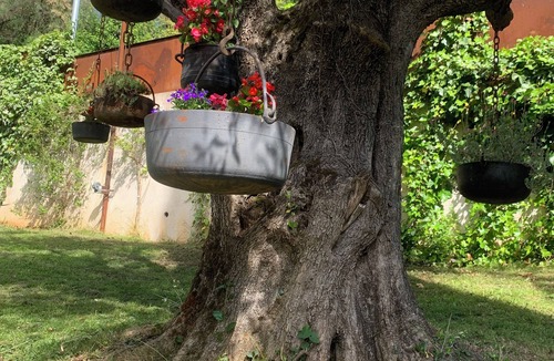 Grasse Villa | Large villa with home chef service