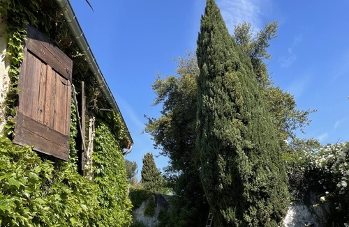 Bernis House | Large winegrower's house with swimming pool