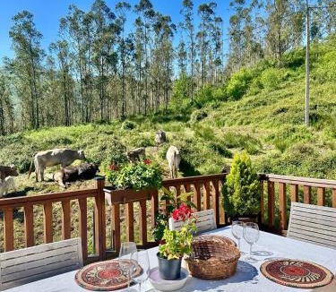 Lierganes Ski Chalet | Las Cabañas del Valle, Cabaña Los Valles