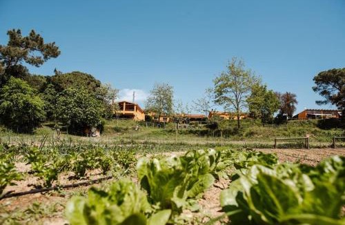 Tordera House | Las HORTENSIAS casa rural en el campo