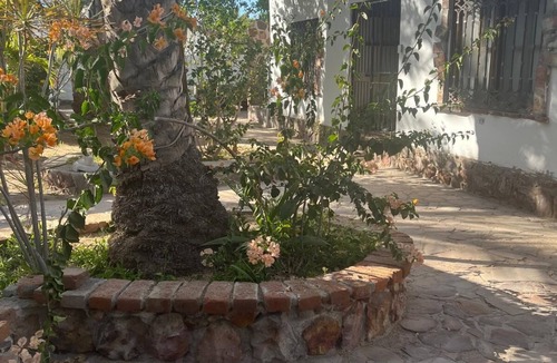 Mulege House | Las Palmas House