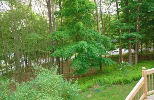 Eagles Mere House | Last Glass