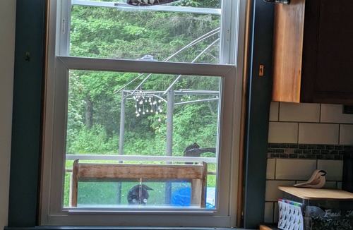 Cavendish House | Last minute holiday weekend availability! Book now for 3 day weekend at Okemo!