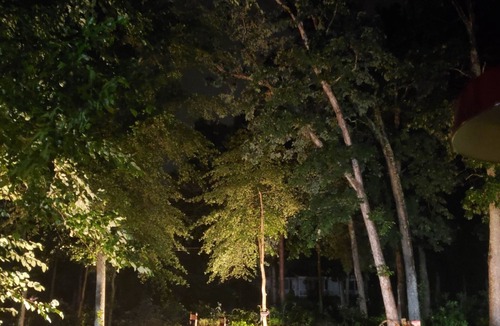 Norma House | Laura's Place❤