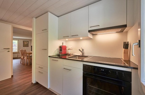 Lauterbrunnen Apartment | Lauterbrunnen Central 1